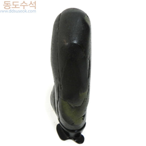 해바라기