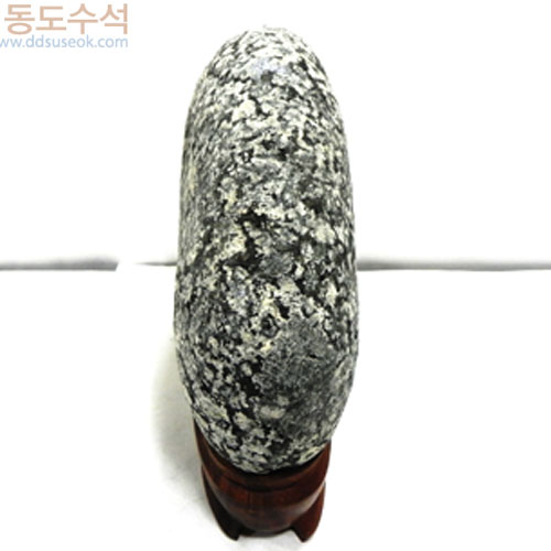 백매화꽃