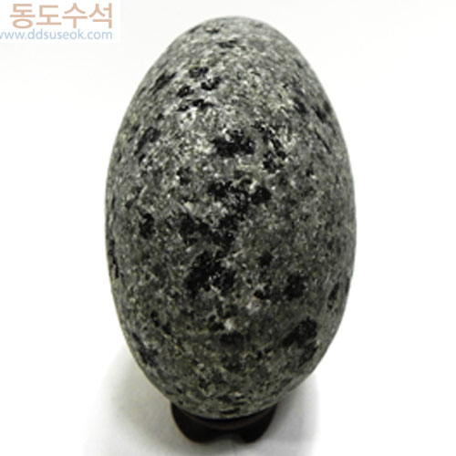 흙국화