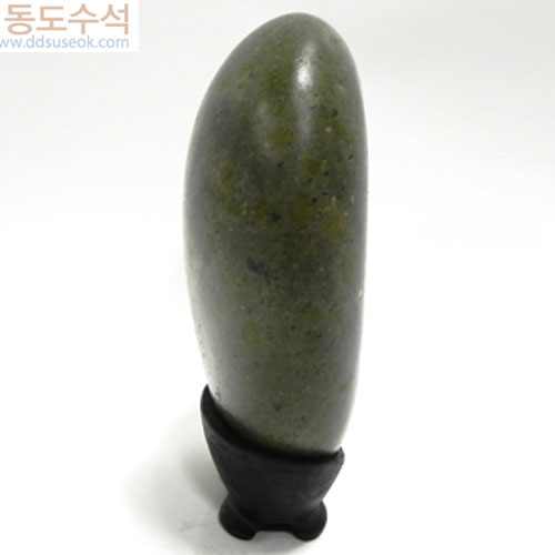 숲속에월