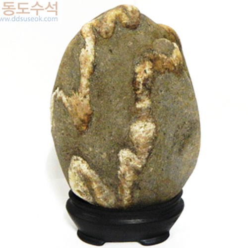 나무