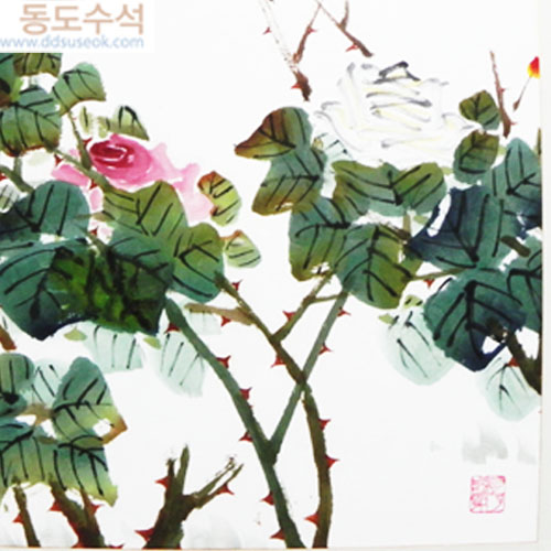 장미(월정)
