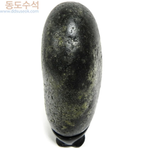 해바라기