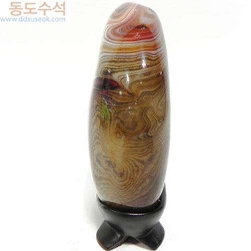 태양에열정