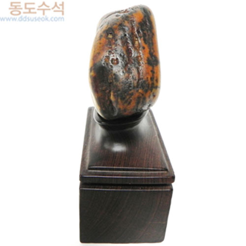 사람인