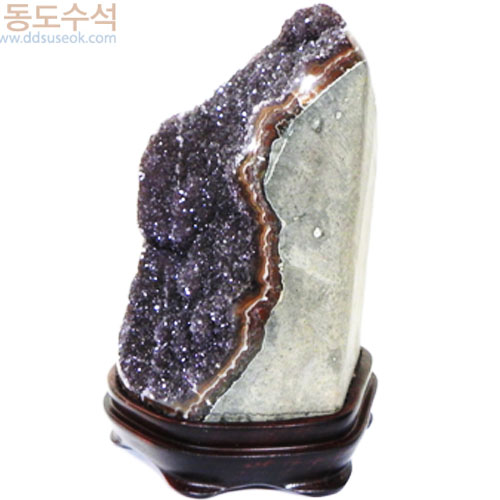 커피수정