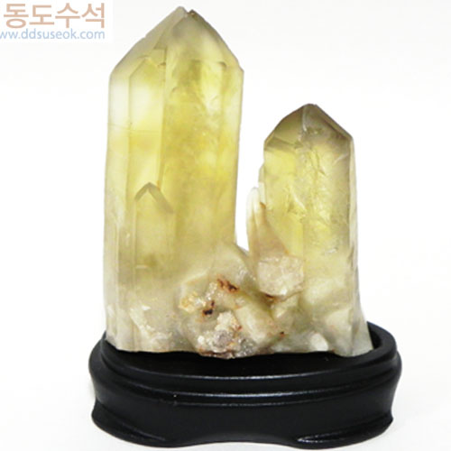 황수정