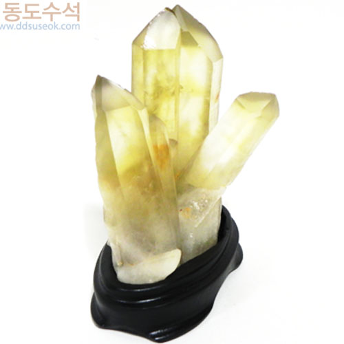 황수정