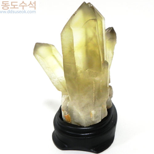 황수정