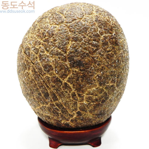 구갑석