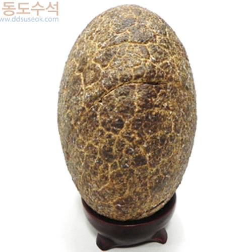 구갑석