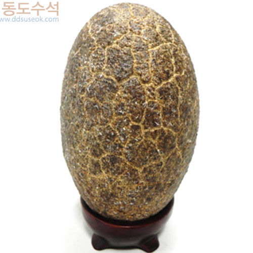 구갑석