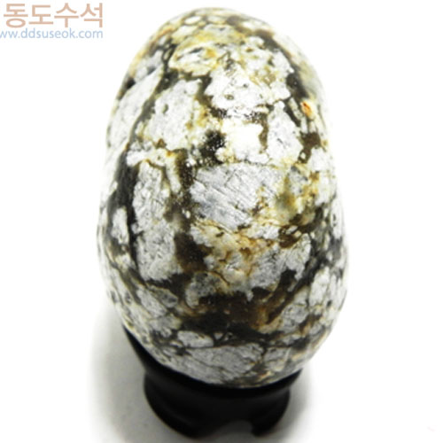 만발한벗꽃