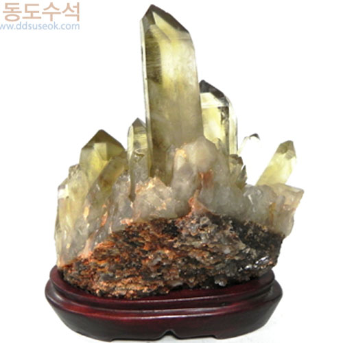 황수정