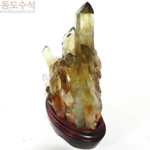 황수정