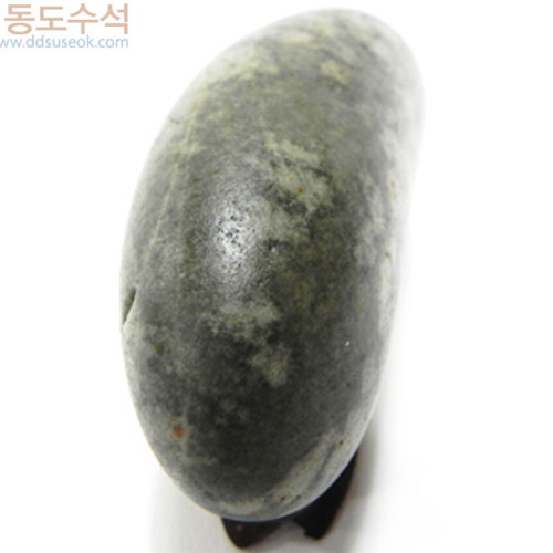 물망초