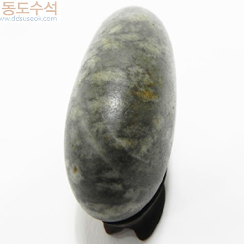 물망초