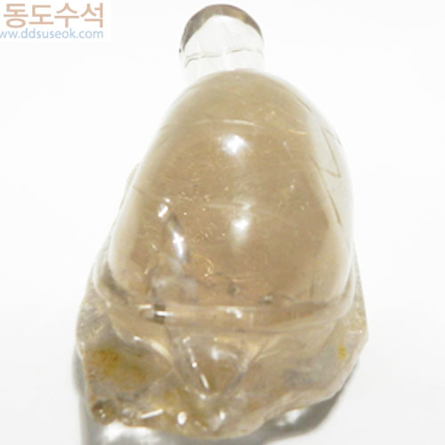 거북(수정)