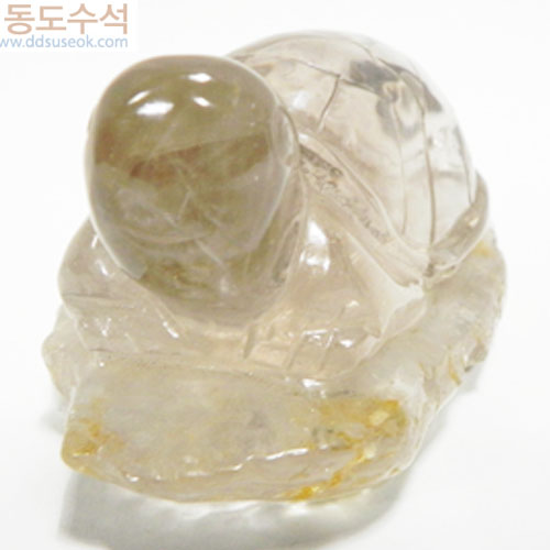 거북(수정)