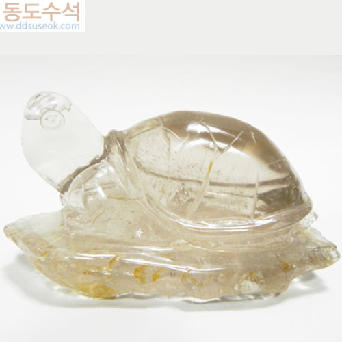 거북(수정)