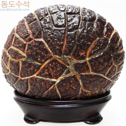 구갑석