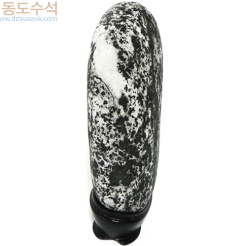 겨울나무