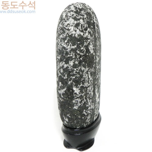 겨울나무