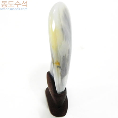 언덕위에나무