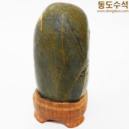 평창나무