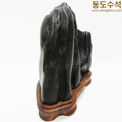 질좋은입석