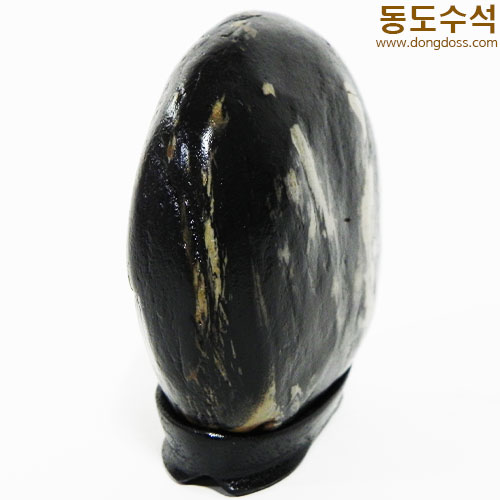 동물원