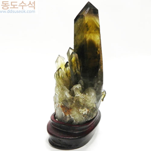 황수정