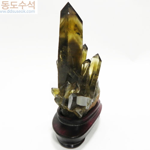 황수정