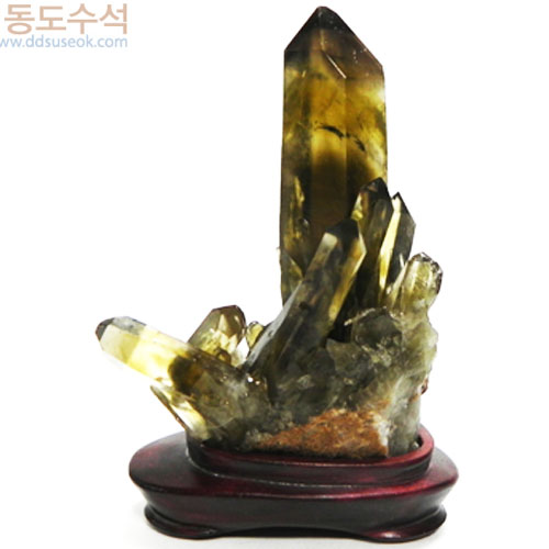 황수정