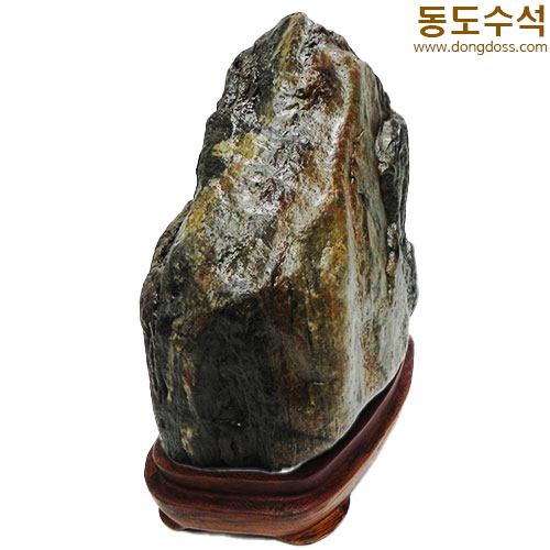 주름쬬코