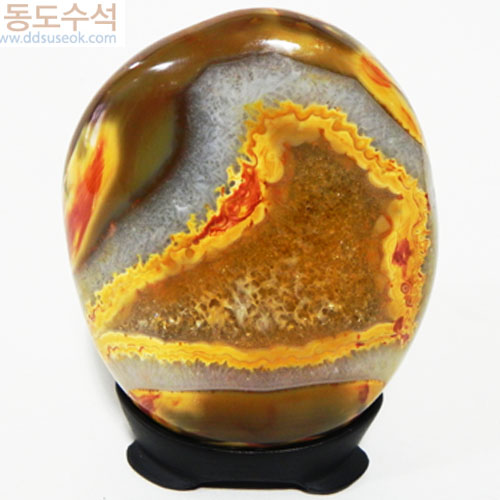 꽃과태양