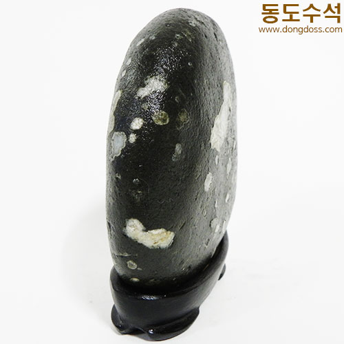 강이지