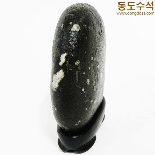 강이지