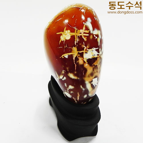 꽃동산