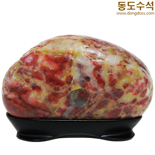 장미동산