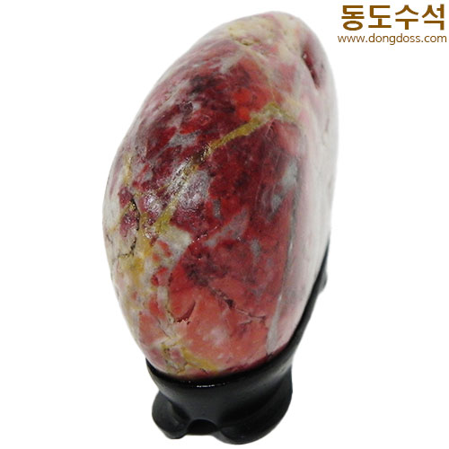 장미동산