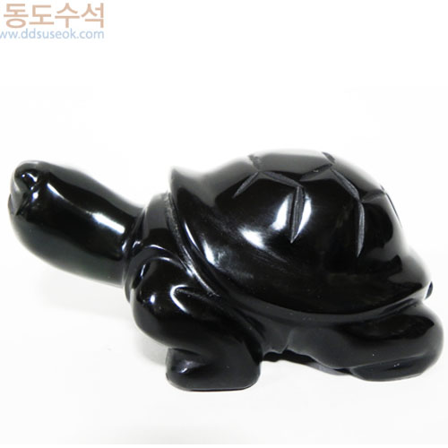 온릭스거북