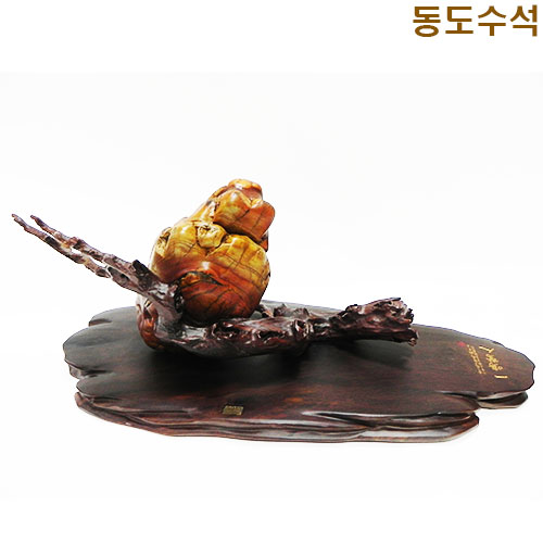 매미(타와석)