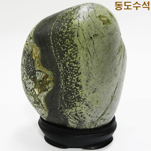 매일꽃밭