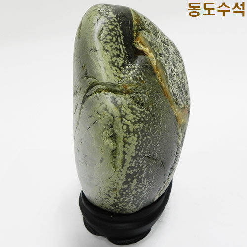 매일꽃밭