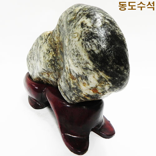 토끼(호피)