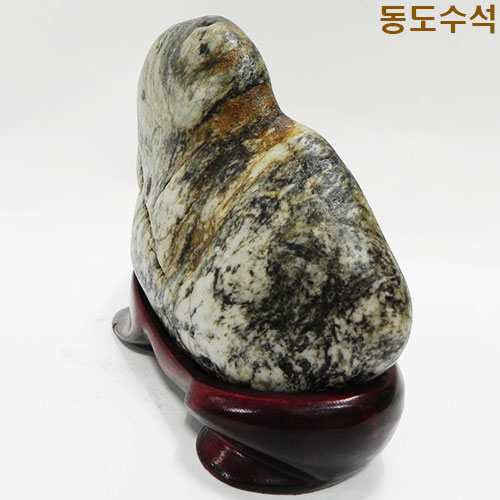 토끼(호피)