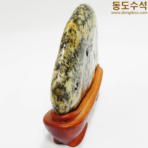 호피꽃
