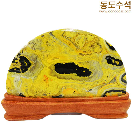 은행나무단풍