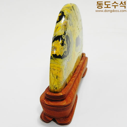 은행나무단풍
